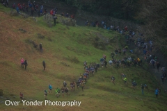 Coniston 2015 1