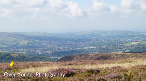 DSC01485-OverYonder.jpg